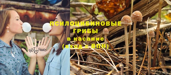 не бодяженный Алзамай